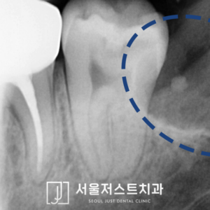 회기역치과